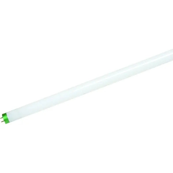 Philips® 32w T8 90 Cri Fluorescent Linear Bulb (5000k) (30-Pack)