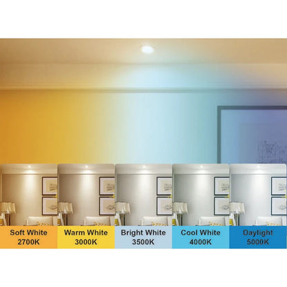 Maintenance Warehouse 5.5 Watt G25 Led, Medium, Clear, 4000k (12-Pack)